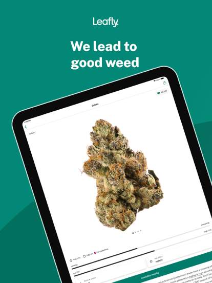 leafly-find-weed-near-you screenshot