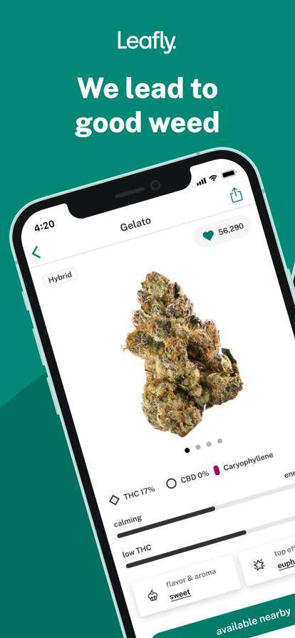 leafly-find-weed-near-you screenshot