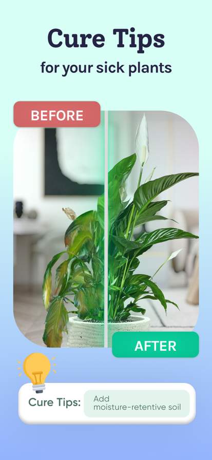 plant-identifier-care-planty screenshot