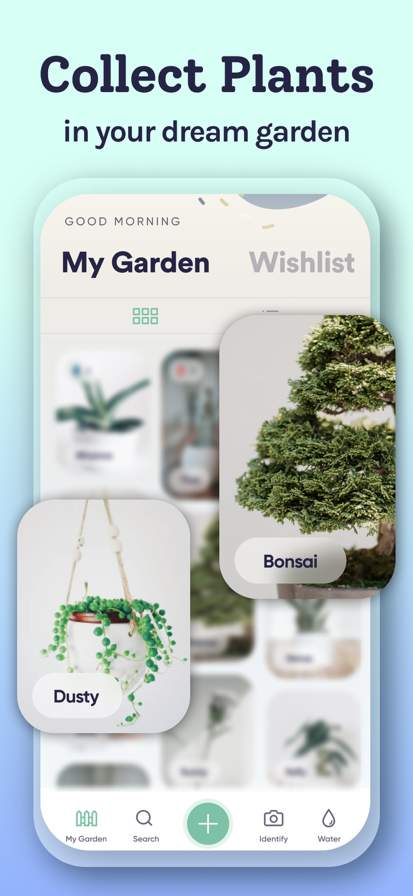 plant-identifier-care-planty screenshot
