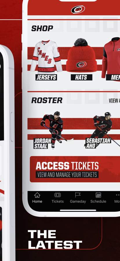 Carolina Hurricanes screenshot
