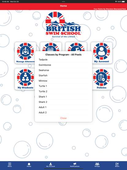 british-swim-school screenshot
