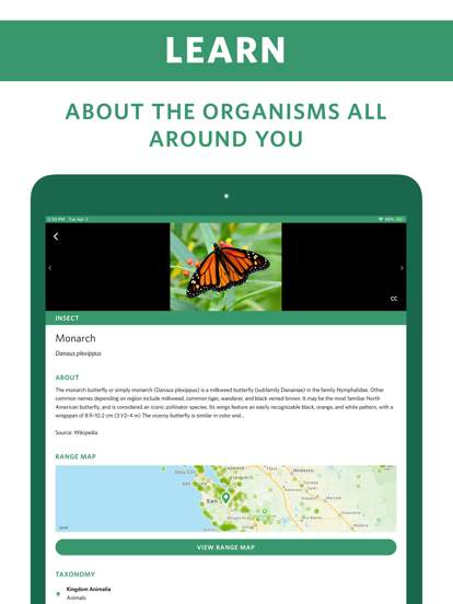 seek-by-inaturalist screenshot