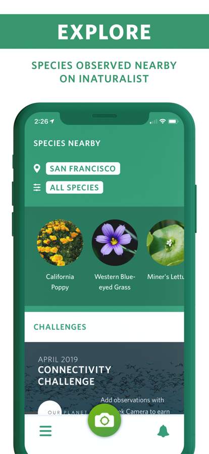 seek-by-inaturalist screenshot