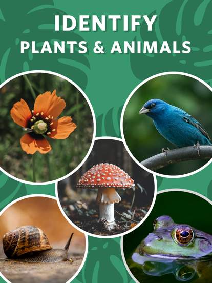 seek-by-inaturalist screenshot