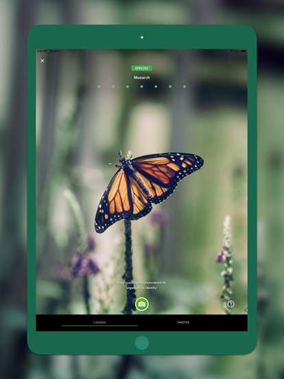 seek-by-inaturalist screenshot