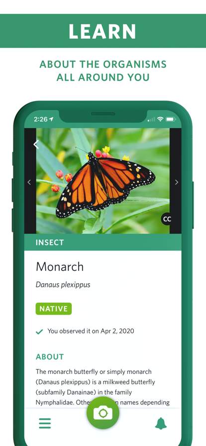 seek-by-inaturalist screenshot