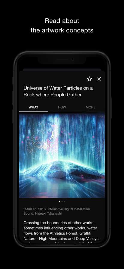teamlab screenshot