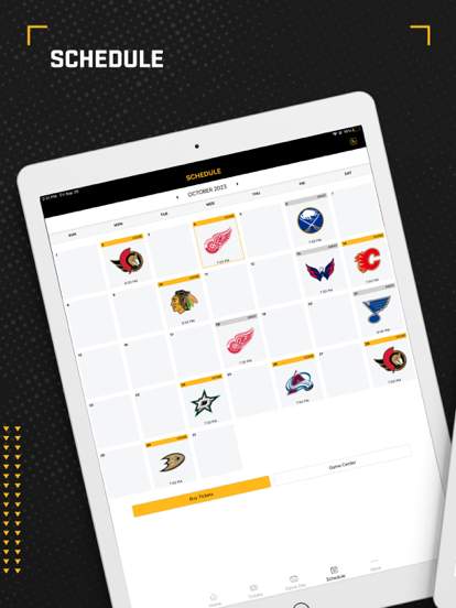 pittsburgh-penguins screenshot