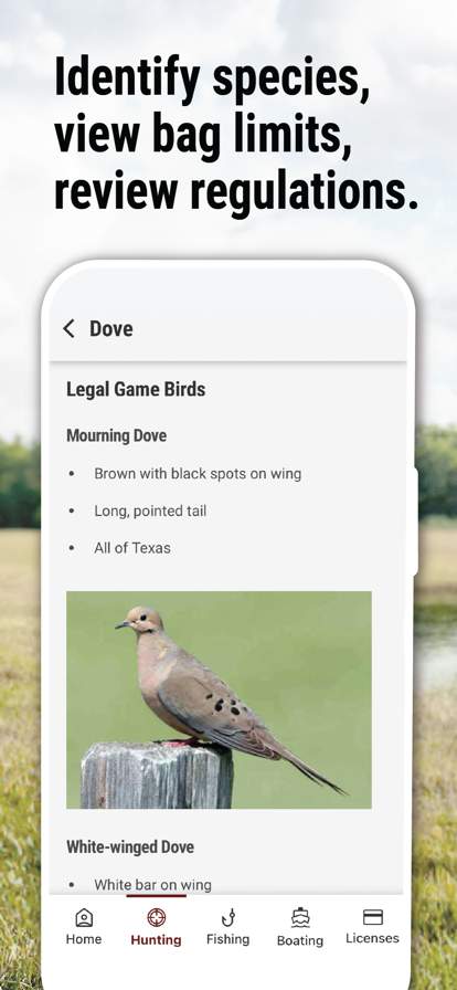 texas-outdoor-annual screenshot