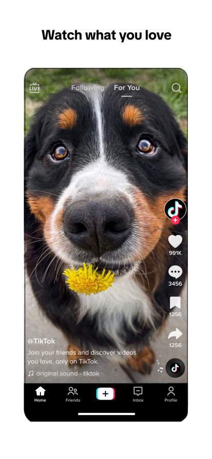 TikTok screenshot