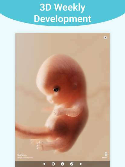 Pregnancy + | Tracker App screenshot