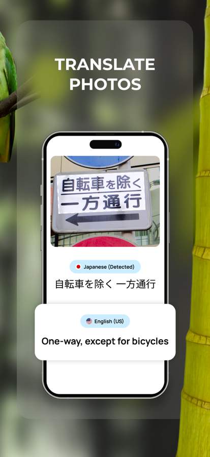 Lens: Translate & Image Search screenshot