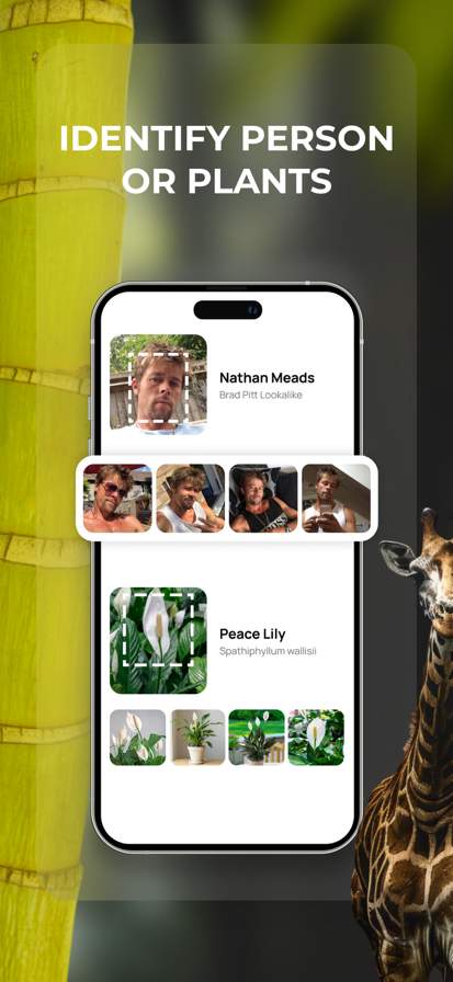 Lens: Translate & Image Search screenshot