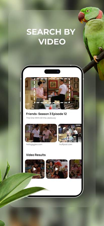 Lens: Translate & Image Search screenshot