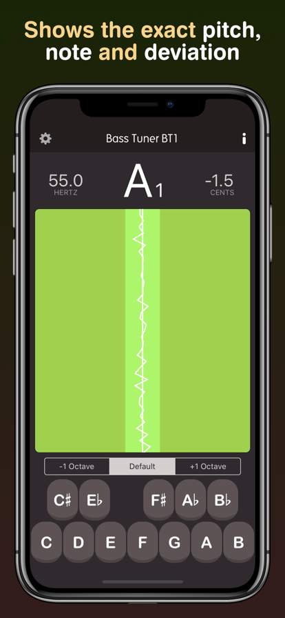 bass-tuner-bt1 screenshot