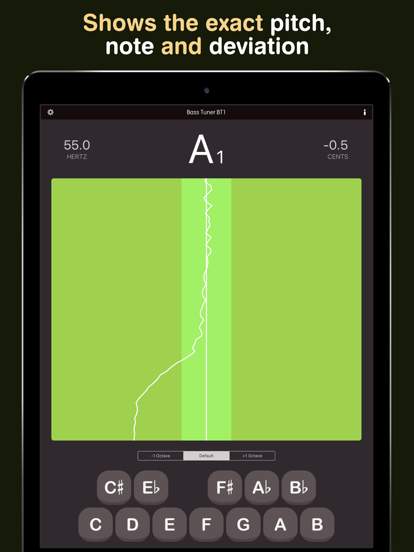 bass-tuner-bt1 screenshot