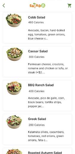 salad-and-go screenshot
