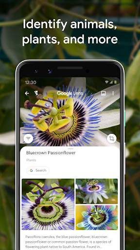 google-lens screenshot