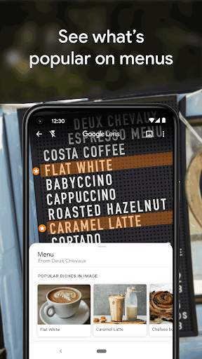 google-lens screenshot