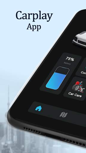 Carplay Auto Connect screenshot