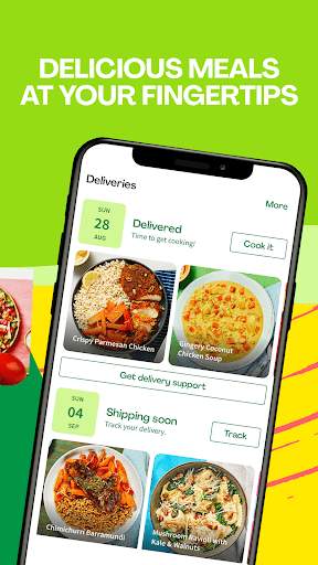 hellofresh-meal-kit-delivery screenshot