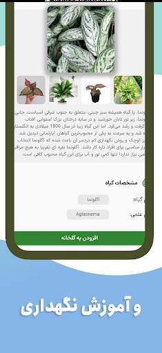 گل-بین-شناسایی-گیاه-با-عکس screenshot