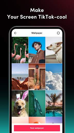 ticktock-tiktok-live-wallpaper screenshot