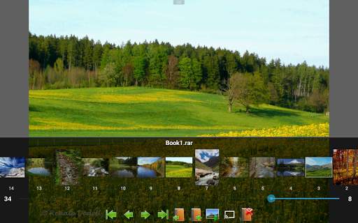 Perfect Viewer PDF&DJVU Plugin screenshot