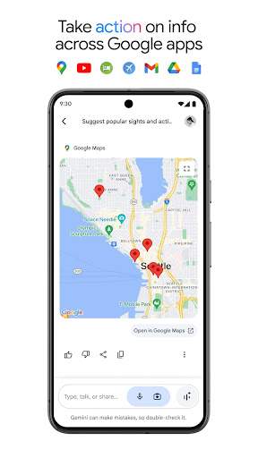 Google Gemini screenshot