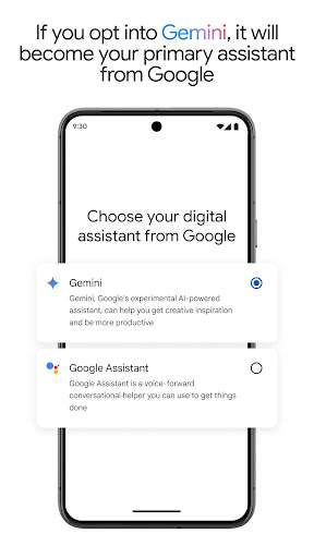 Google Gemini screenshot