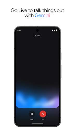 Google Gemini screenshot