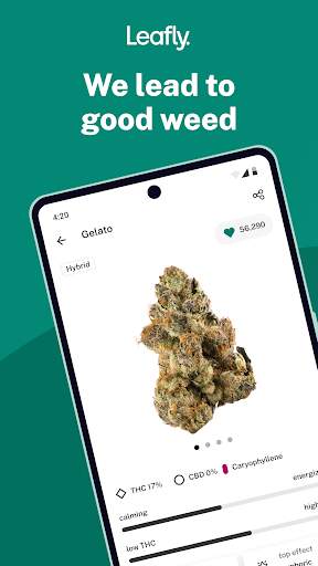 leafly-find-cannabis-and-cbd screenshot