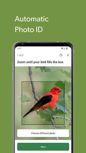 Merlin Bird ID by Cornell Lab screenshot