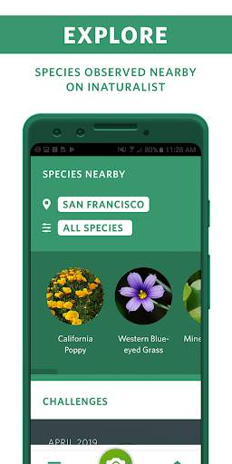 seek-by-inaturalist screenshot