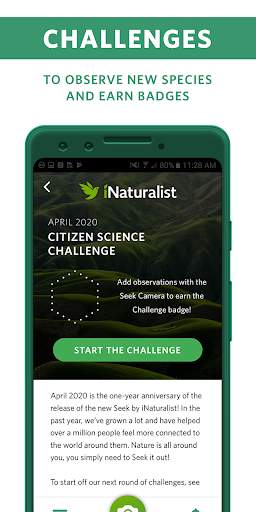 seek-by-inaturalist screenshot