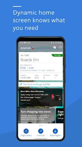American Airlines screenshot