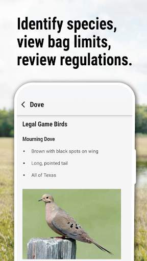 texas-outdoor-annual screenshot