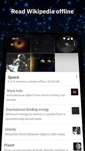 wikipedia screenshot