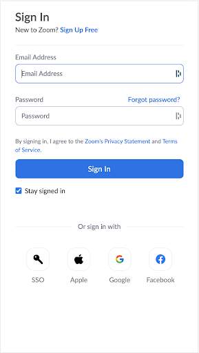 Zoom for Chromebook screenshot