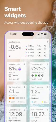 nautide-tides-wind-waves screenshot