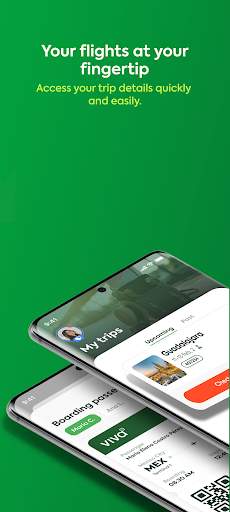 viva screenshot